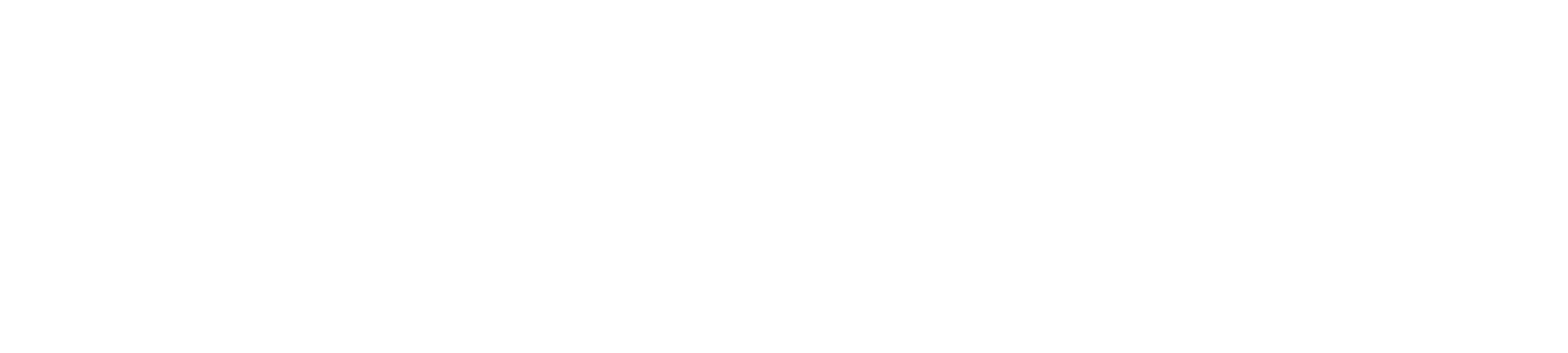 BigCommerce_Logo-White